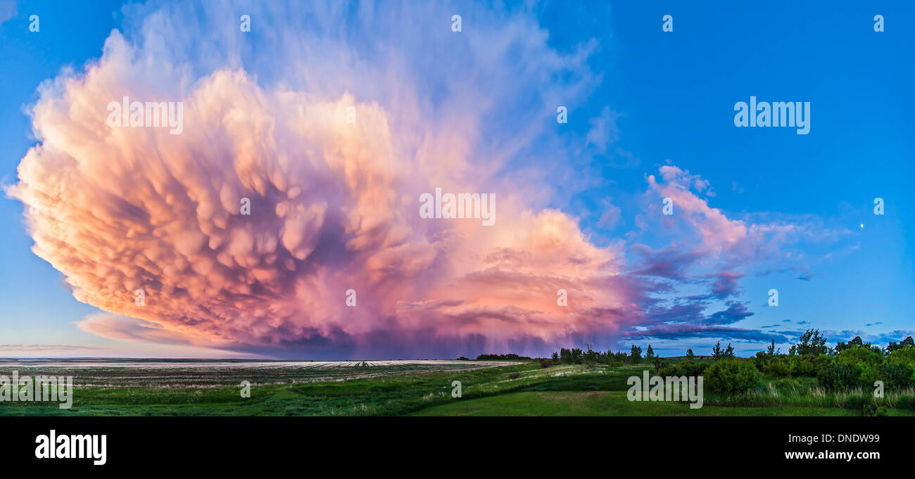 Panoramic view of mammatocumulus clouds, Alberta, Canada Stock Photo