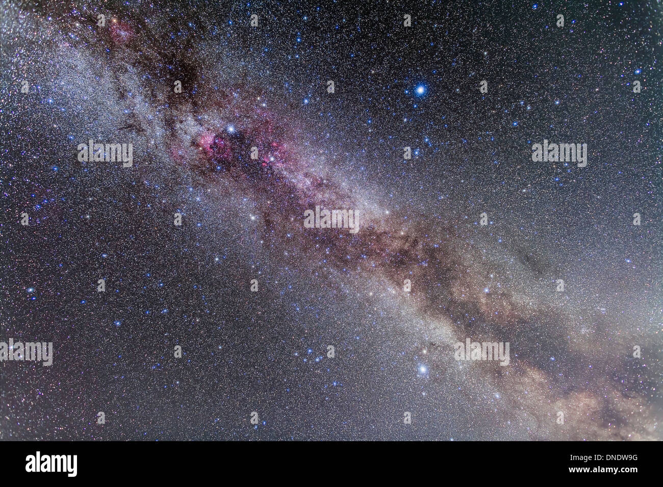 The Summer Triangle stars in the Milky Way through Cygnus, Lyra and Aquila. Stock Photo