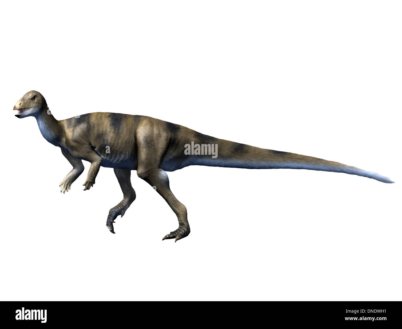 Deinocheirus Cut Out Stock Images & Pictures - Alamy