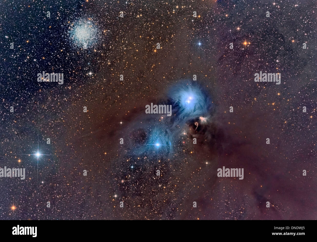 Ngc 6541 hi-res stock photography and images - Alamy