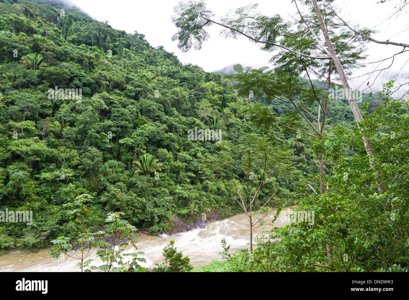 view of the macal river in the Cayo district of Belize Stock Photo