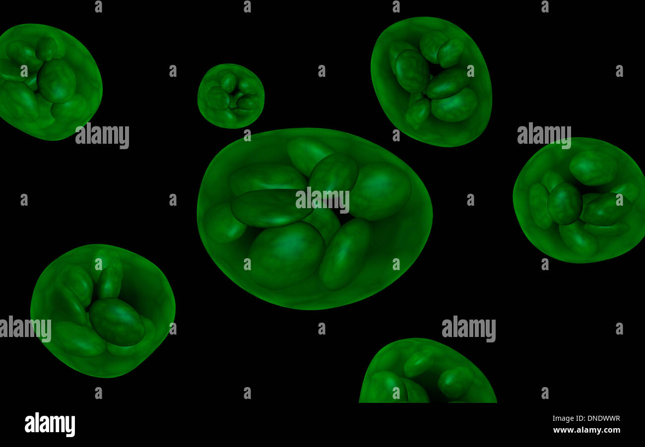 Conceptual image of chloroplast. Stock Photo