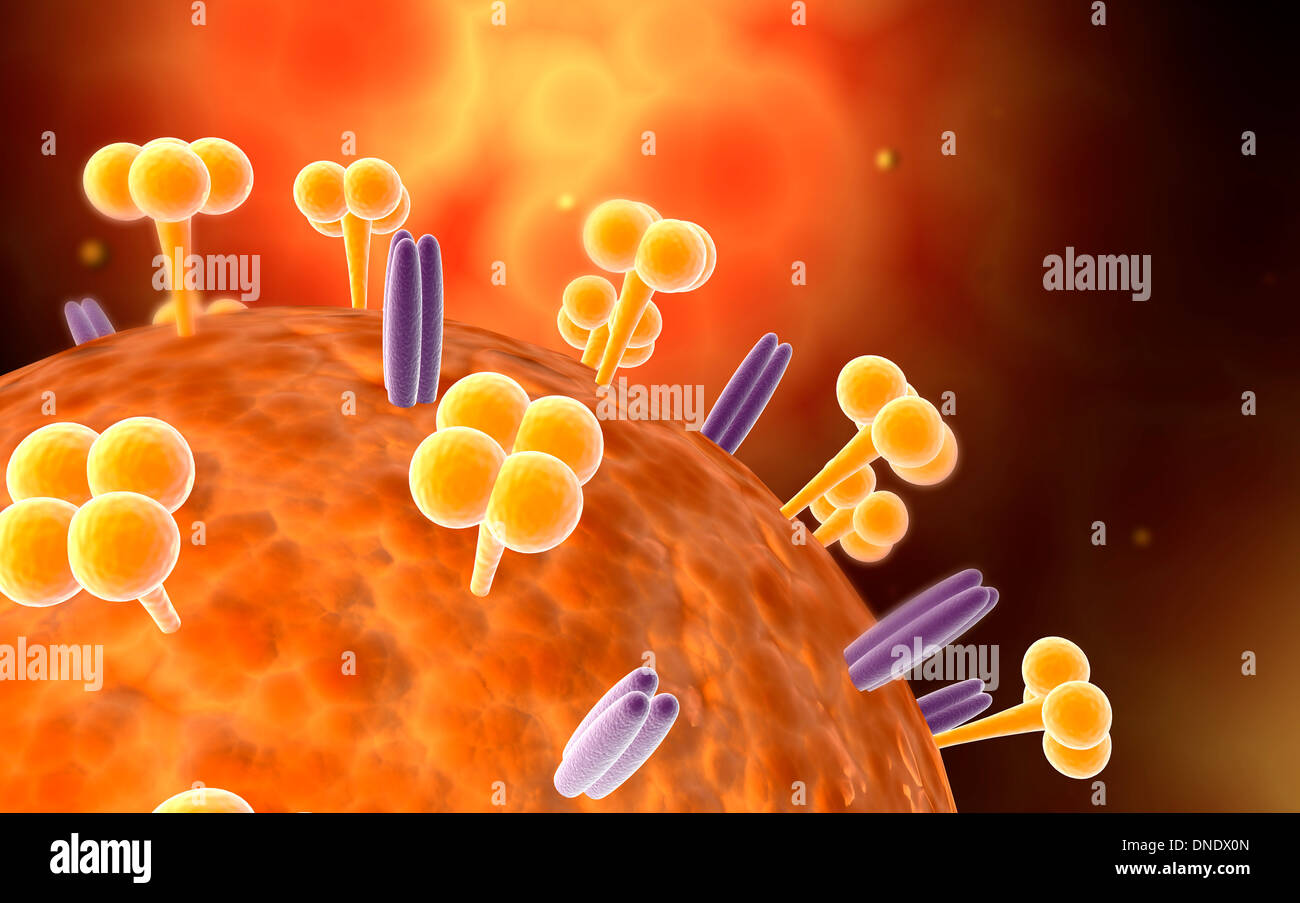 Disease causing microorganism hi-res stock photography and images - Alamy