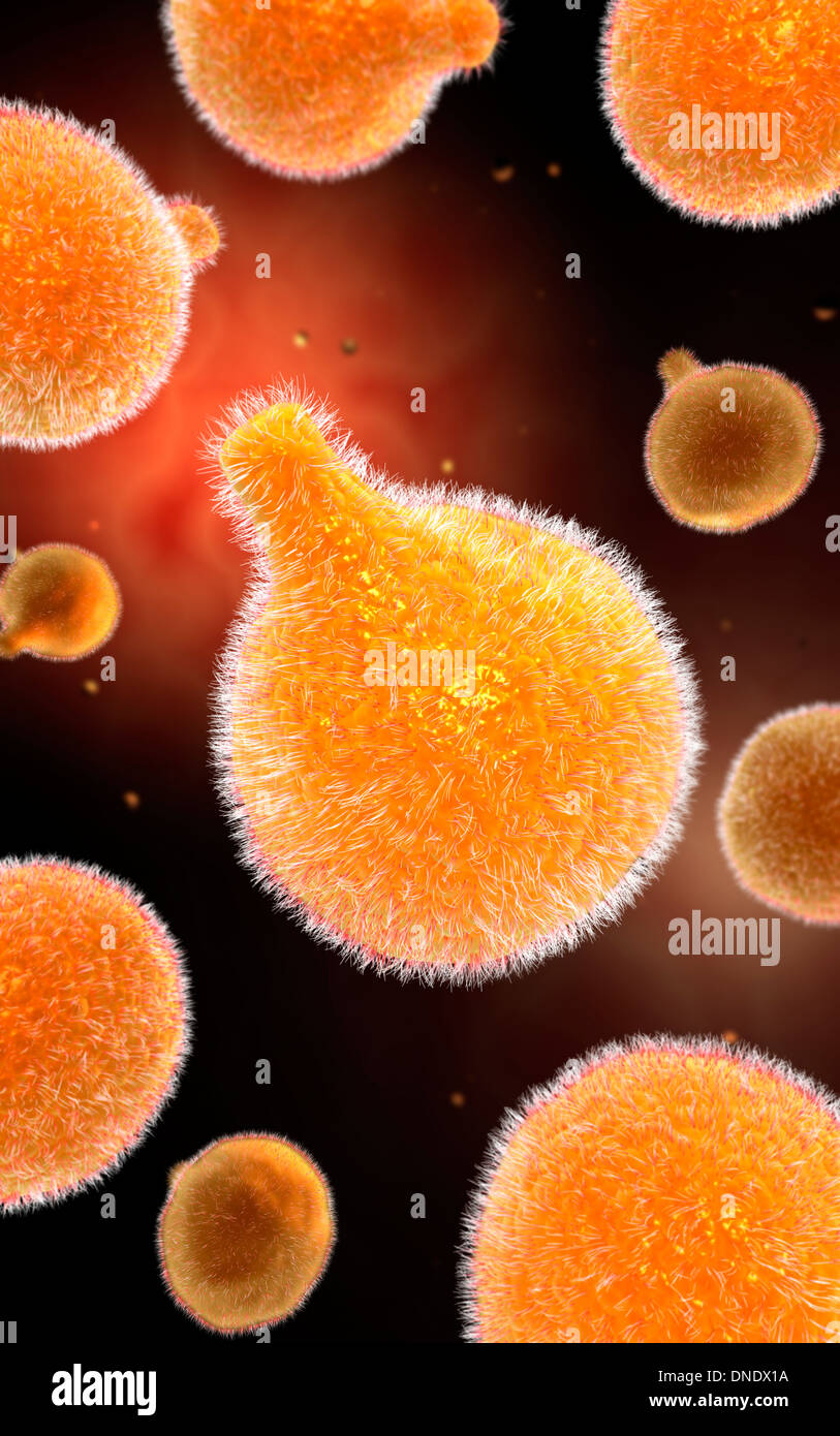 Conceptual image of plasmodium causing malaria. Stock Photo