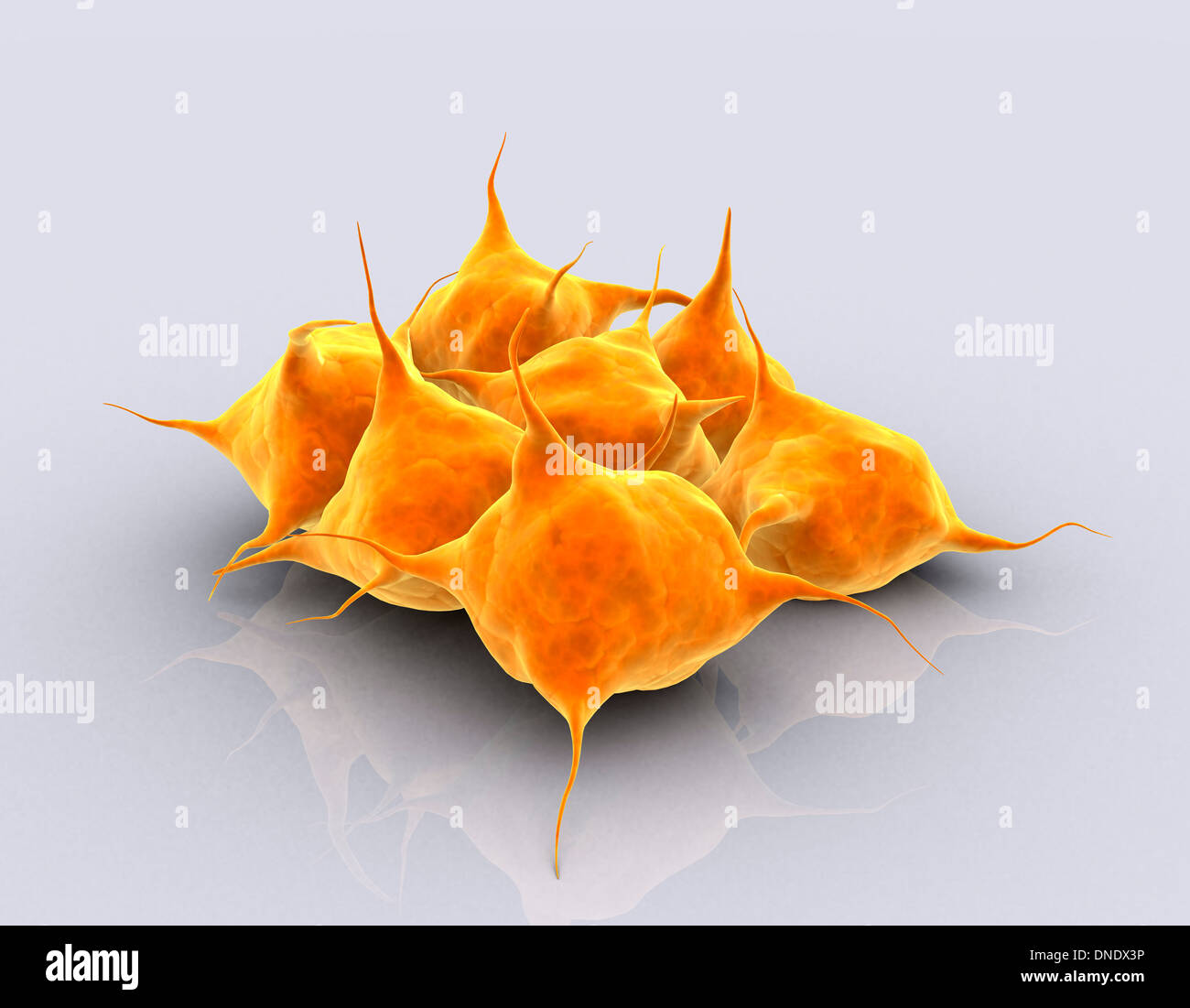 Conceptual image of a group of platelets. Stock Photo