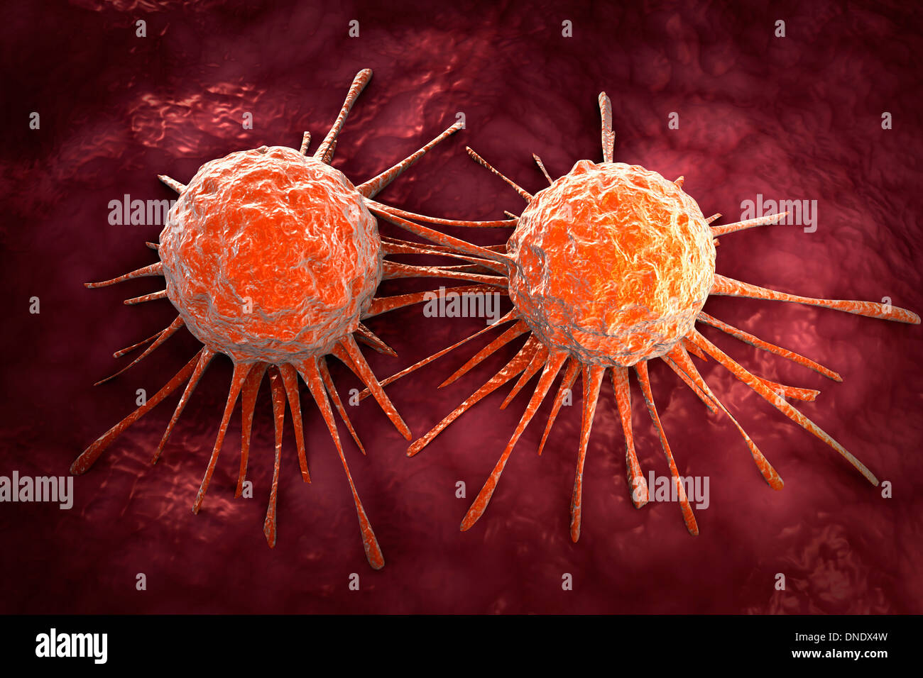 Conceptual image of cancer virus. Stock Photo