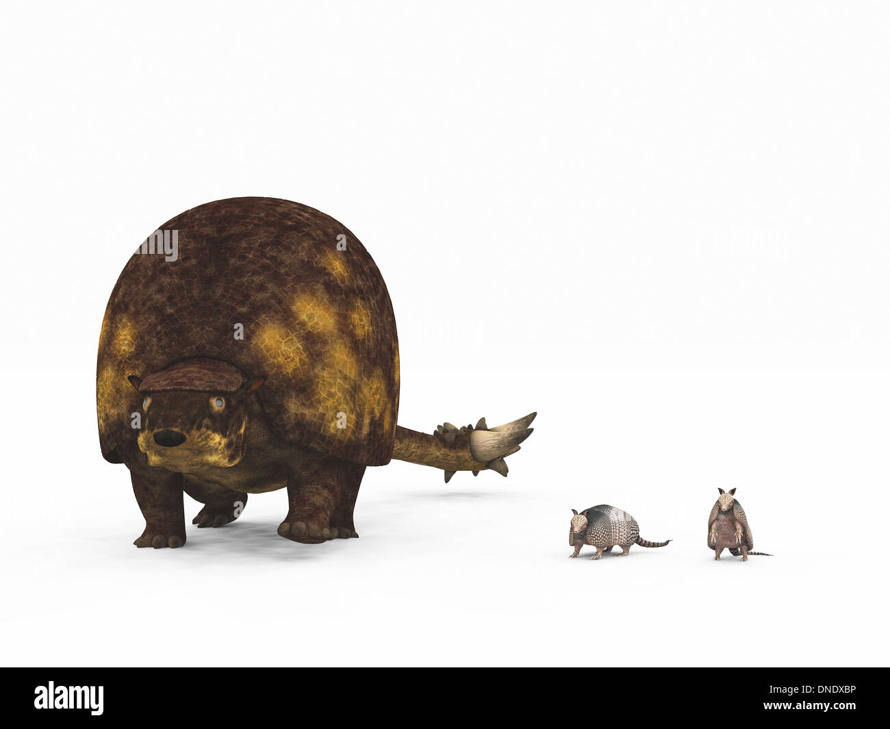 A Doedicurus glyptodont compared to modern armadillos. Stock Photo