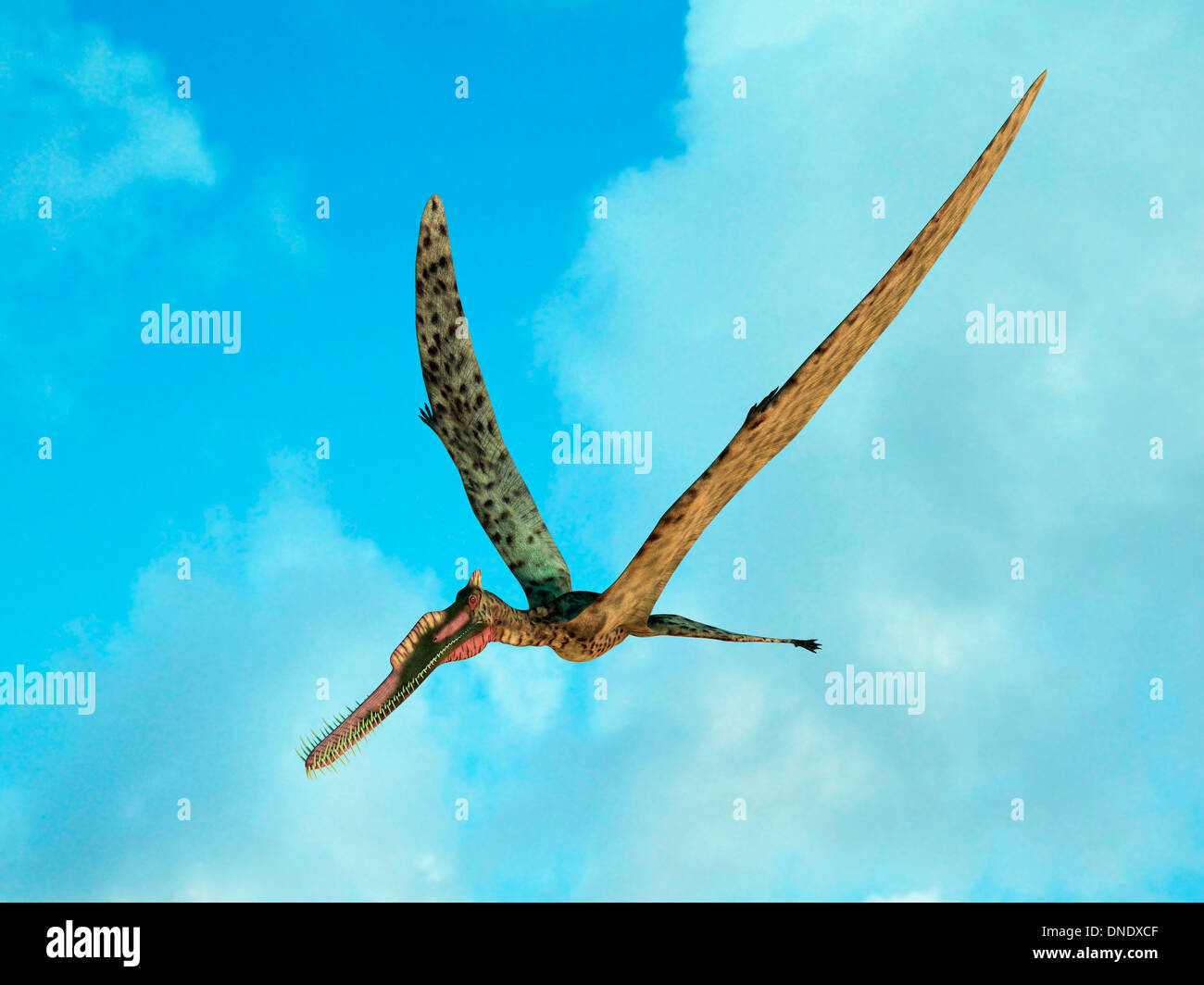 Pterodactyl stock photo. Image of brutal, archeopteryx - 45412668