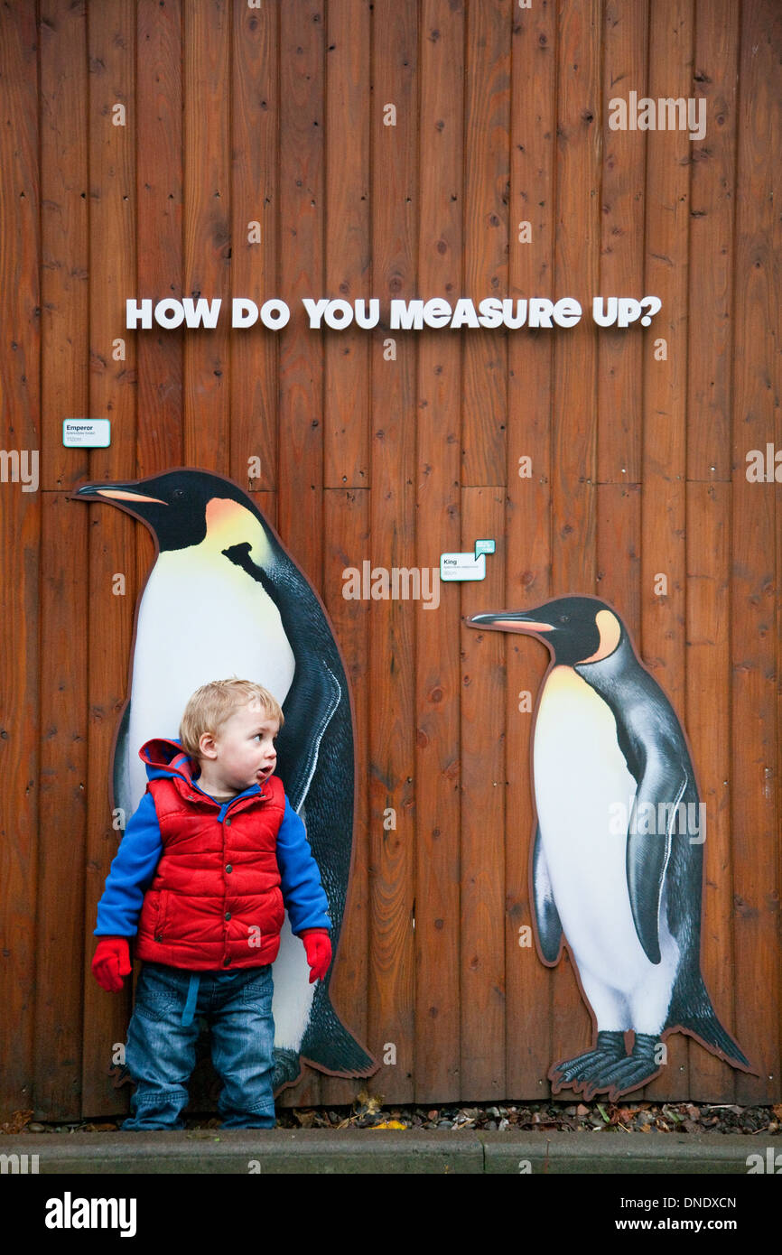 A little boy and life-size pictures of penguins at Edinburgh Zoo, Scotland, UK Stock Photo