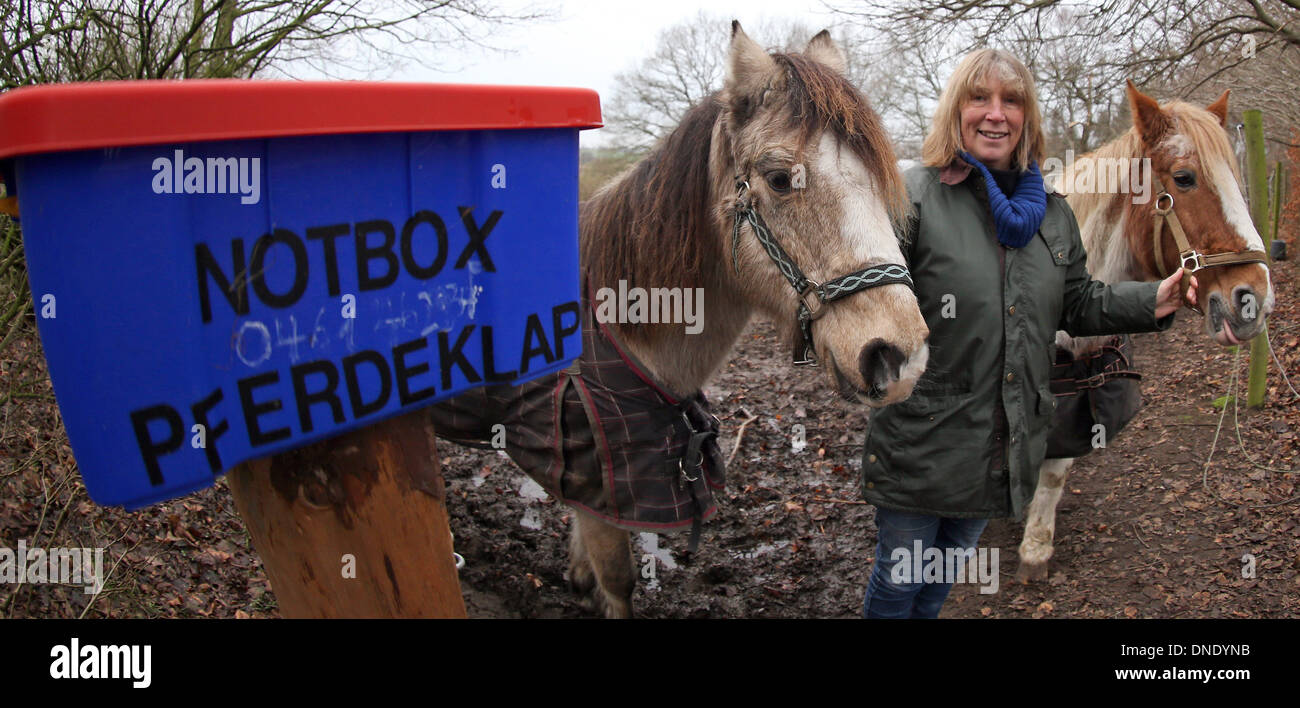 Norderbrarup, Germany. 18th Dec, 2013. Petra Teegen, initiator of Germany's first horse hatch poses with the ponies 'Beachboy' (L) and 'Pirat' at the entrance of the horse hatch in Norderbrarup, Germany, 18 December 2013. Horse owners can leave their animals anonymously at the emergency horse box. Photo: Axel Heimken/dpa/Alamy Live News Stock Photo