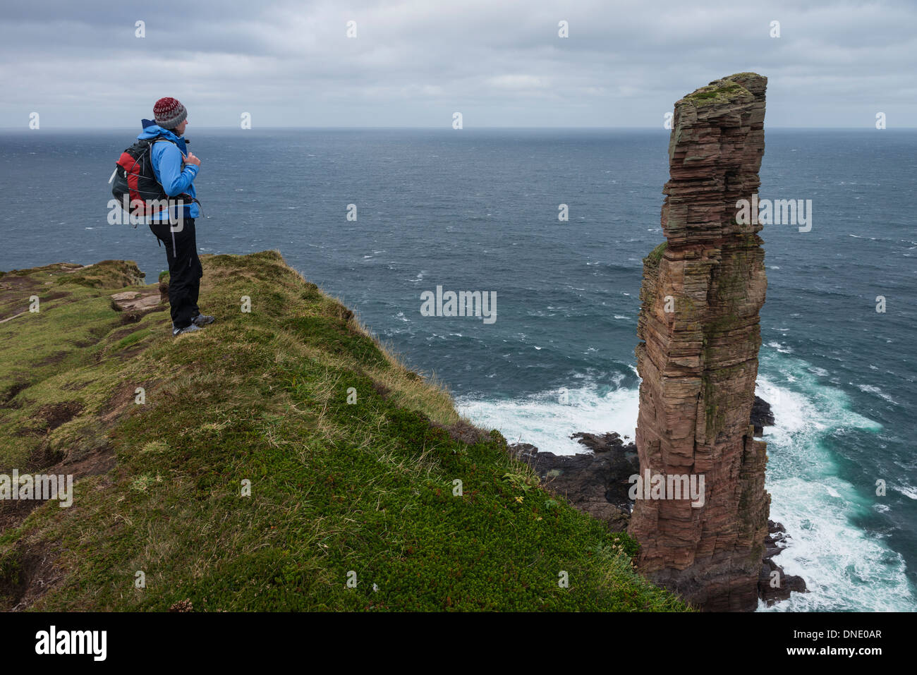 Female hiker stands near cliffs overlooking Old Man of Hoy, Hoy, Orkney, Scotland Stock Photo