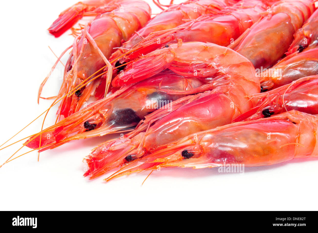 closeup of a pile of fresh raw shrimps on a white background Stock Photo