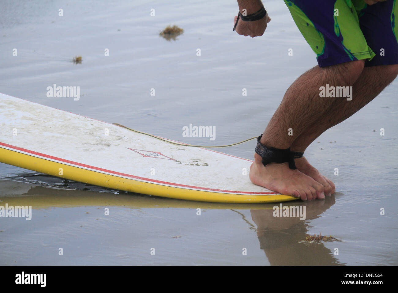 Standing on Surf board, Cocoa Beach, Florida Stock Photo