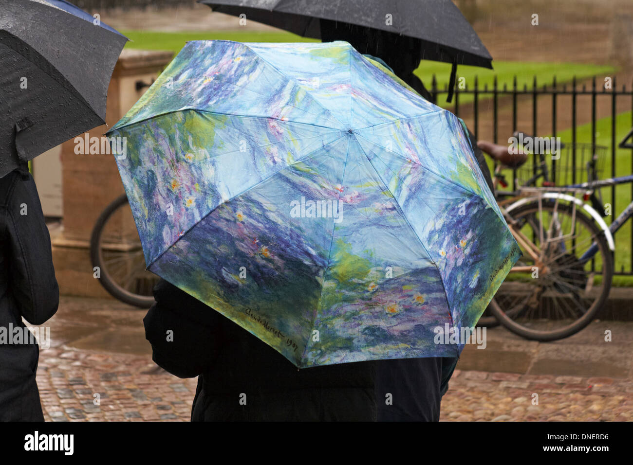Claude waterlily umbrella hires stock photography and images Alamy