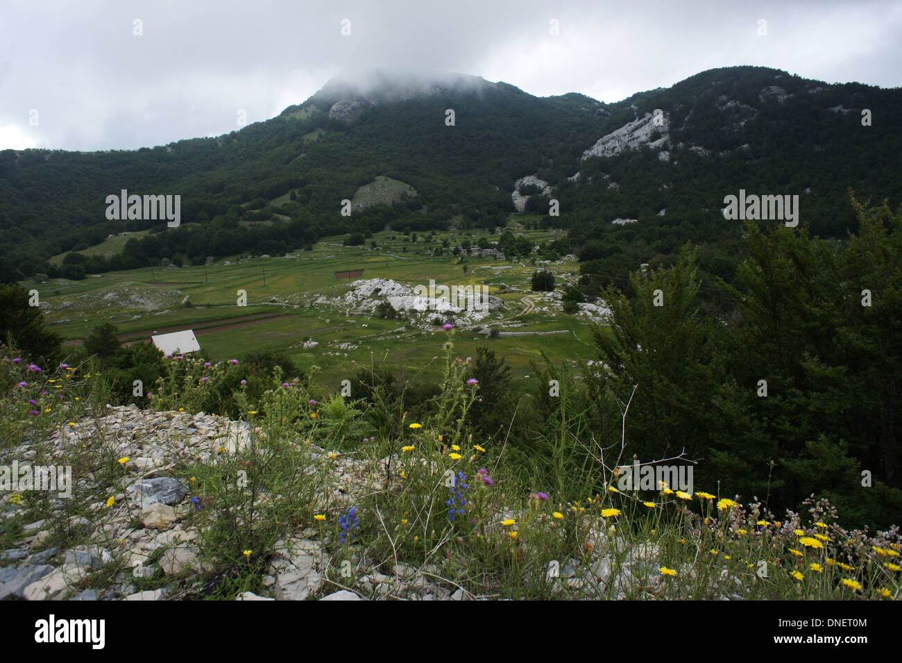 Farmland Katun in Lovcen NP. Montenegro Stock Photo