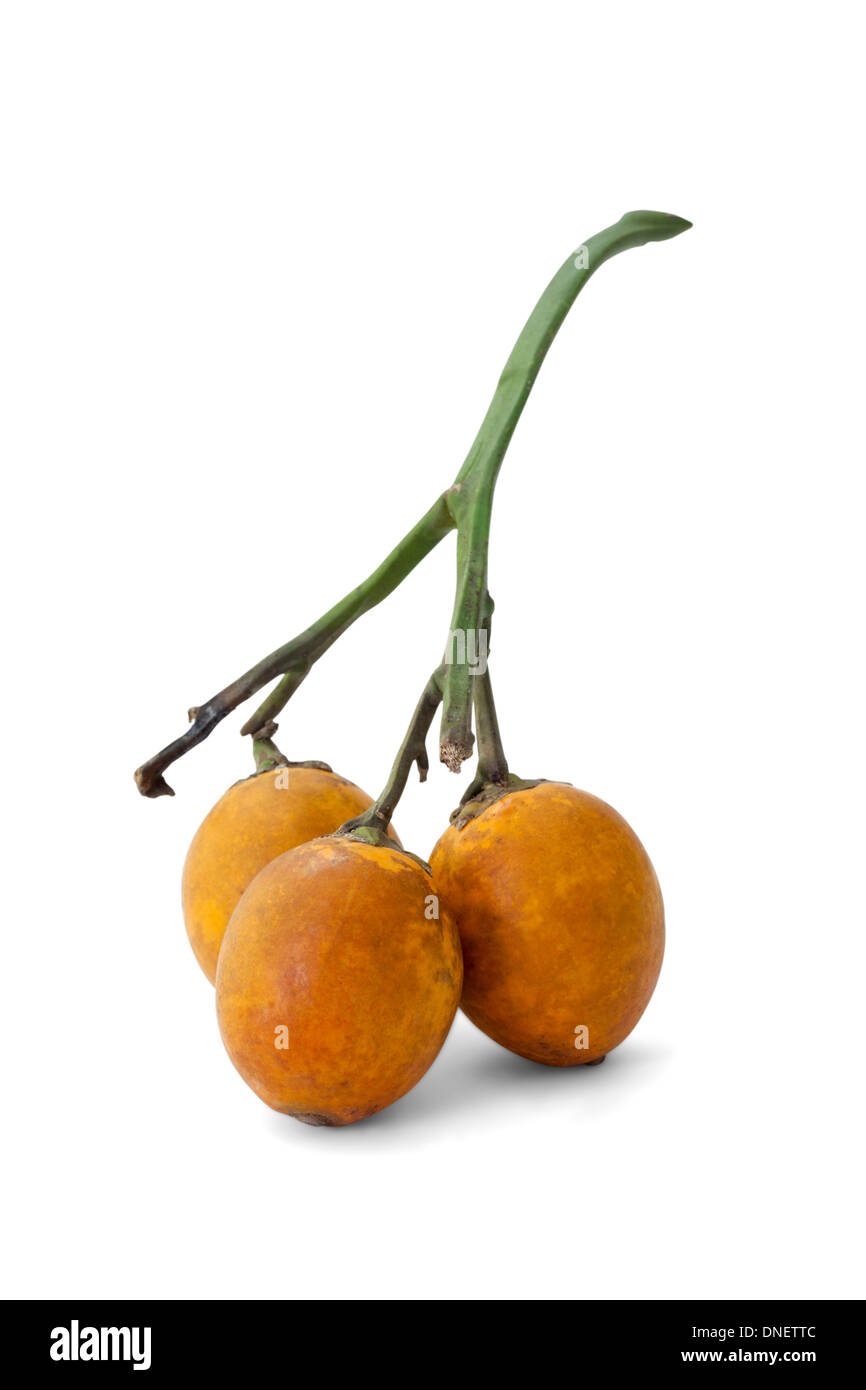 ripe acera or betel palm nut fruit with path Stock Photo