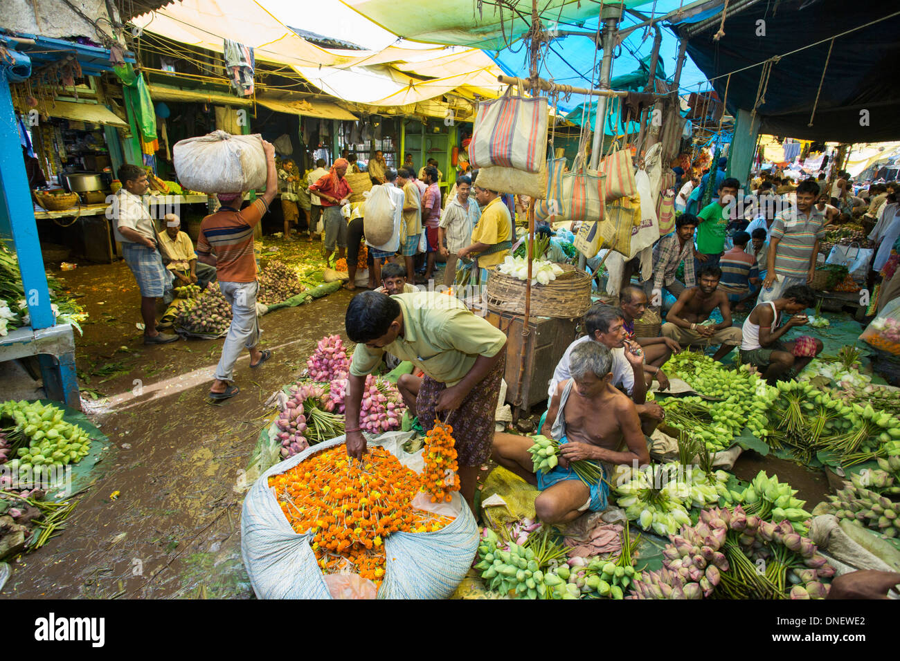 Mallick Ghat Flower Market Calcutta (Kolkata), India Stock Photo Alamy