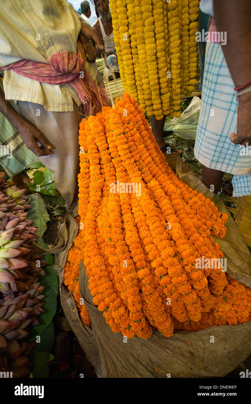 Mallick Ghat Flower Market - Calcutta (Kolkata), India Stock Photo