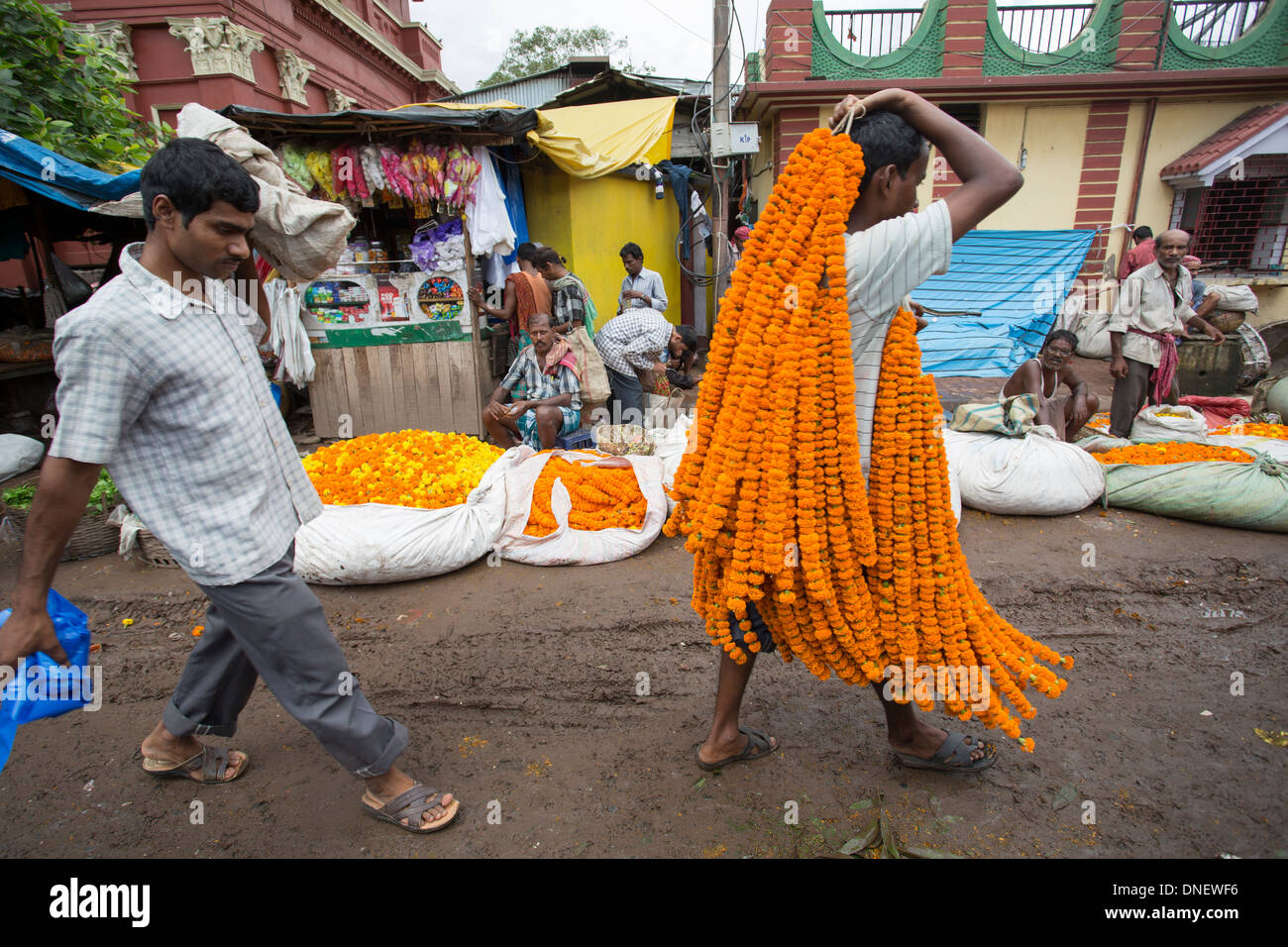 Mallick Ghat Flower Market - Calcutta (Kolkata), India Stock Photo