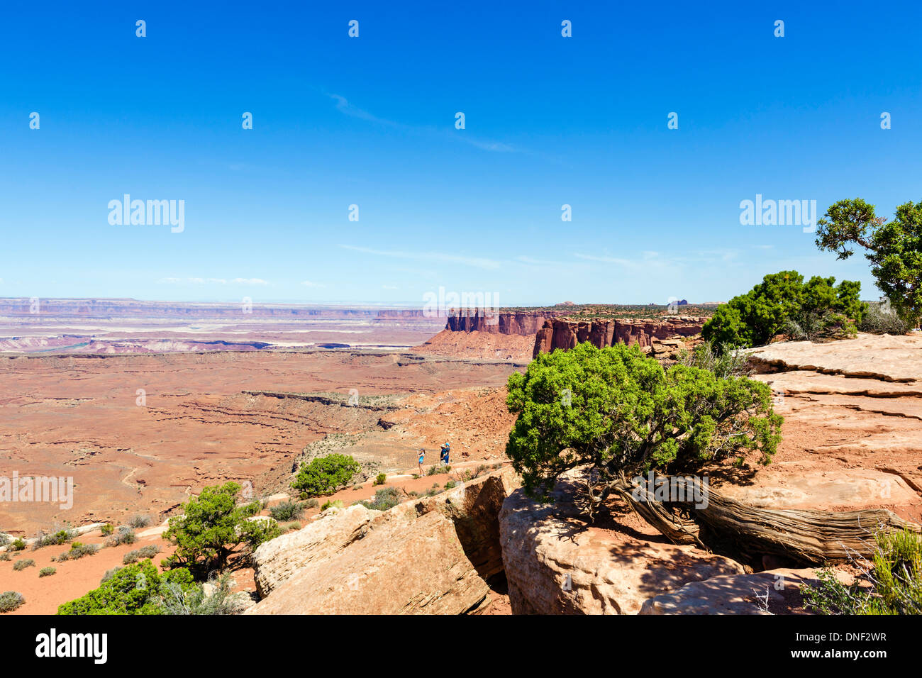 Grand View Point, Island in the Sky, Canyonlands National Park, Utah, USA Stock Photo