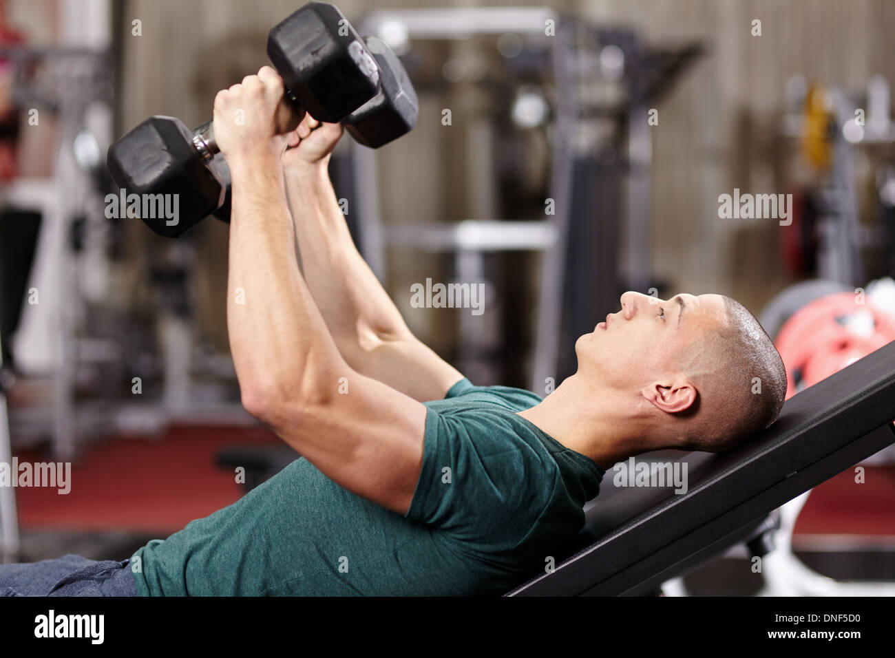 Athletic young man laid on back working his chest with heavy dumbbells ...