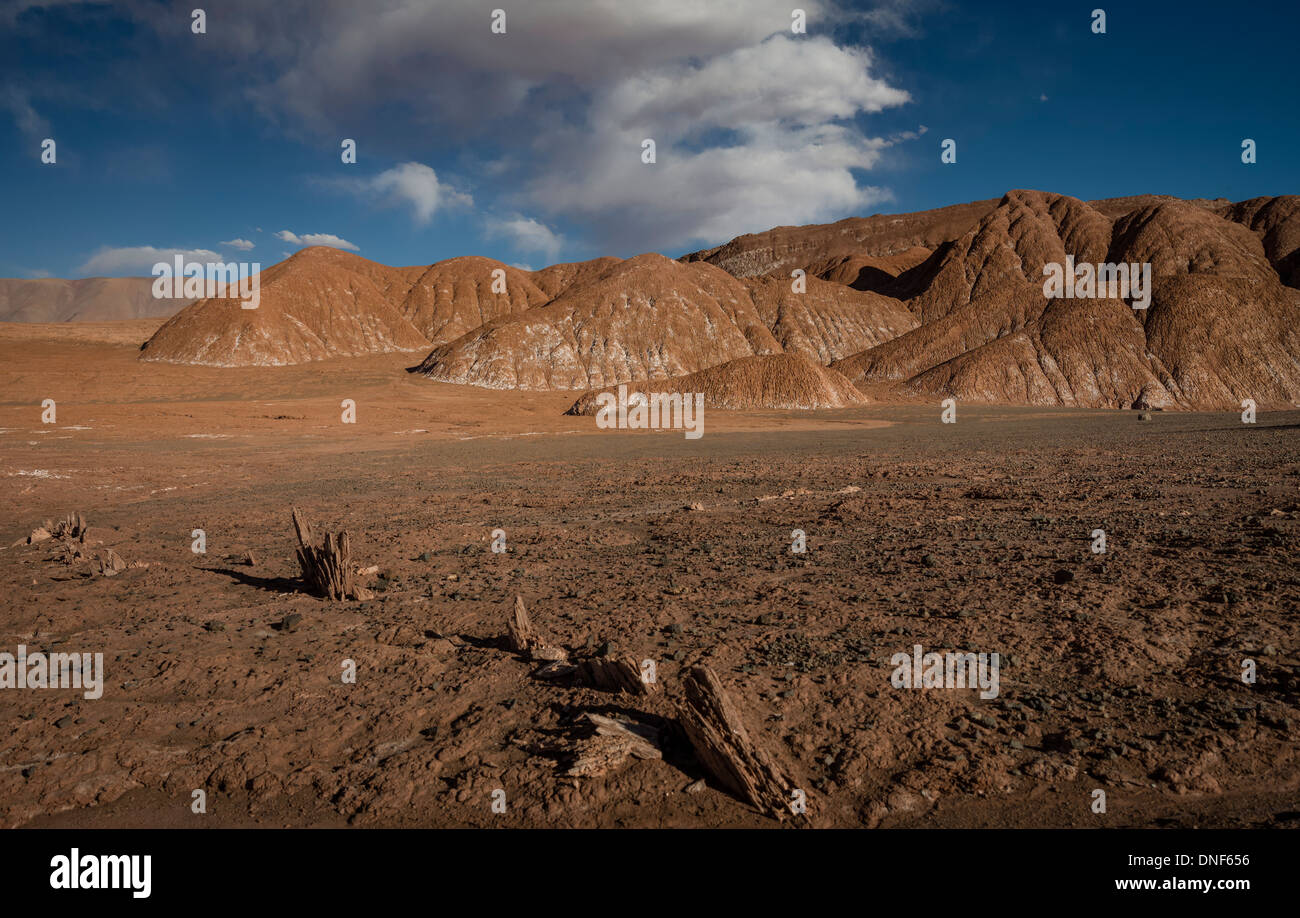 ARGENTINA SOUTH AMERICA TRAVEL ATACAMA DESERT Stock Photo
