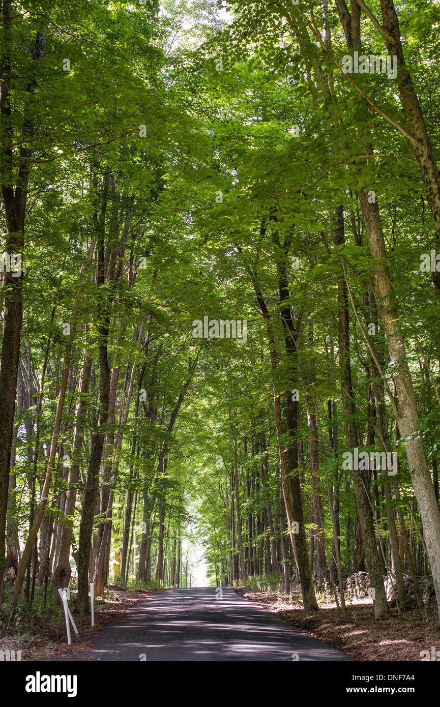 Greenbush hires stock photography and images Alamy