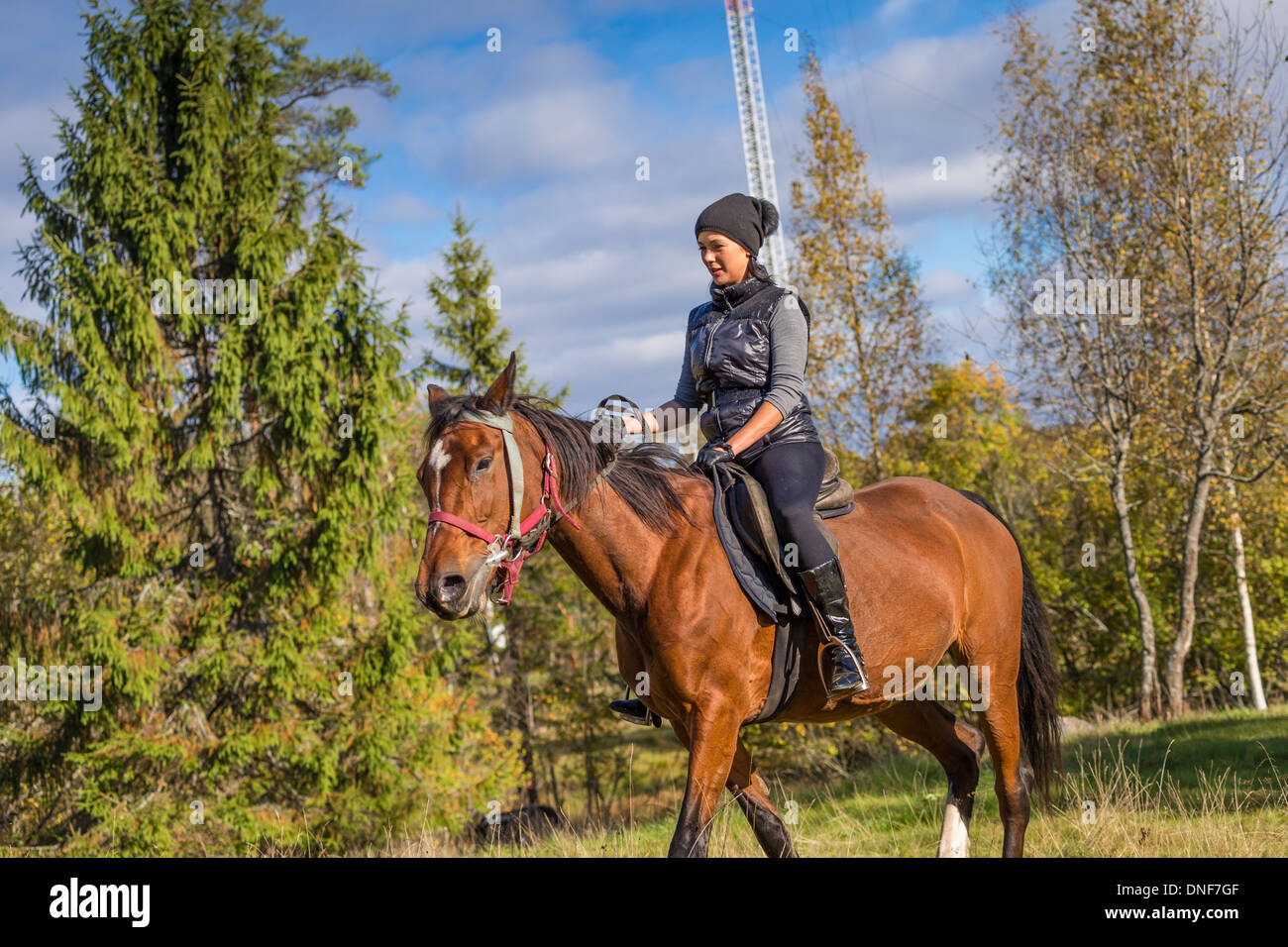 Elegant young woman riding horse Stock Photo