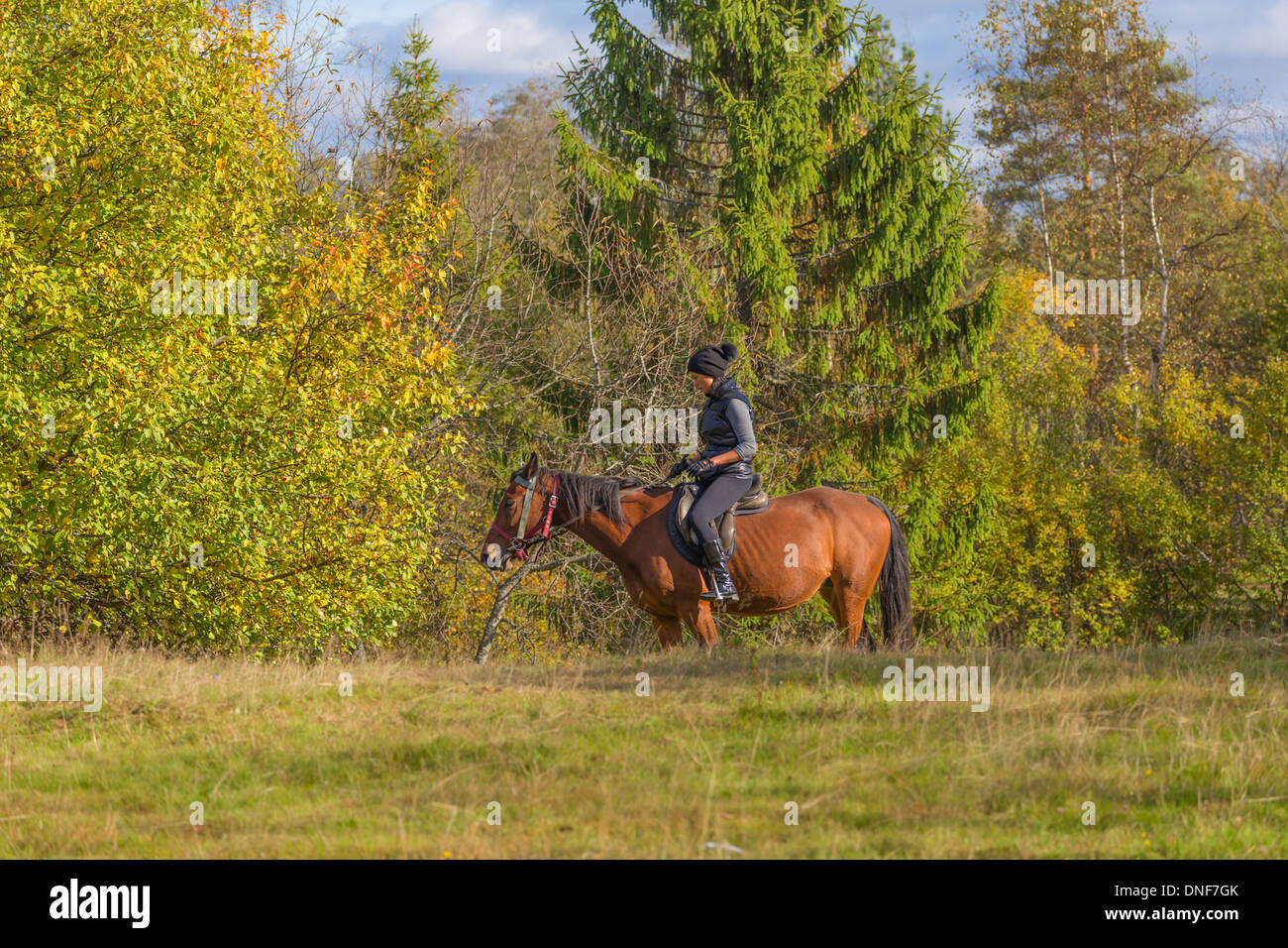 Elegant young woman riding horse Stock Photo