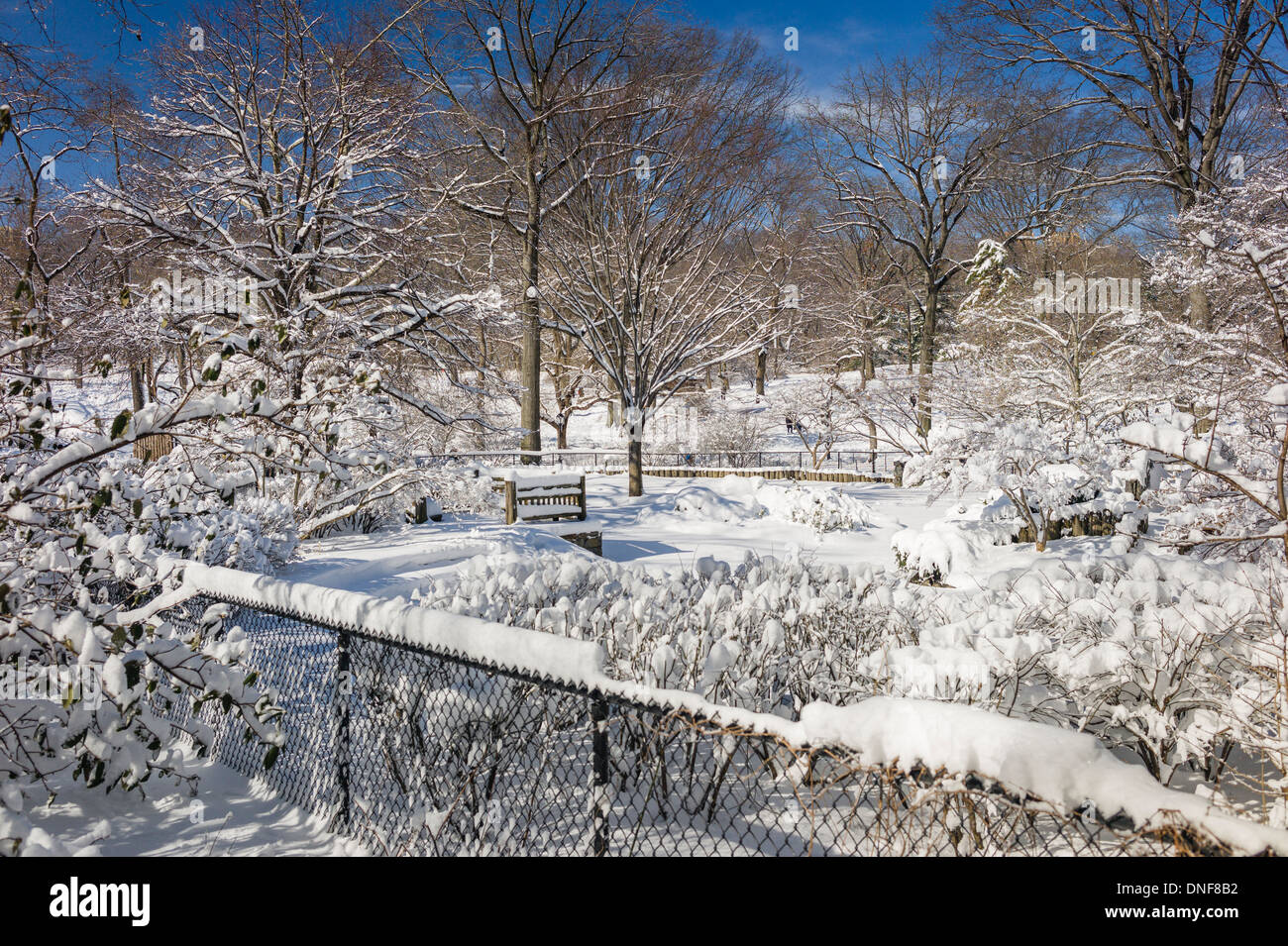 Central park new york city hi-res stock photography and images - Alamy