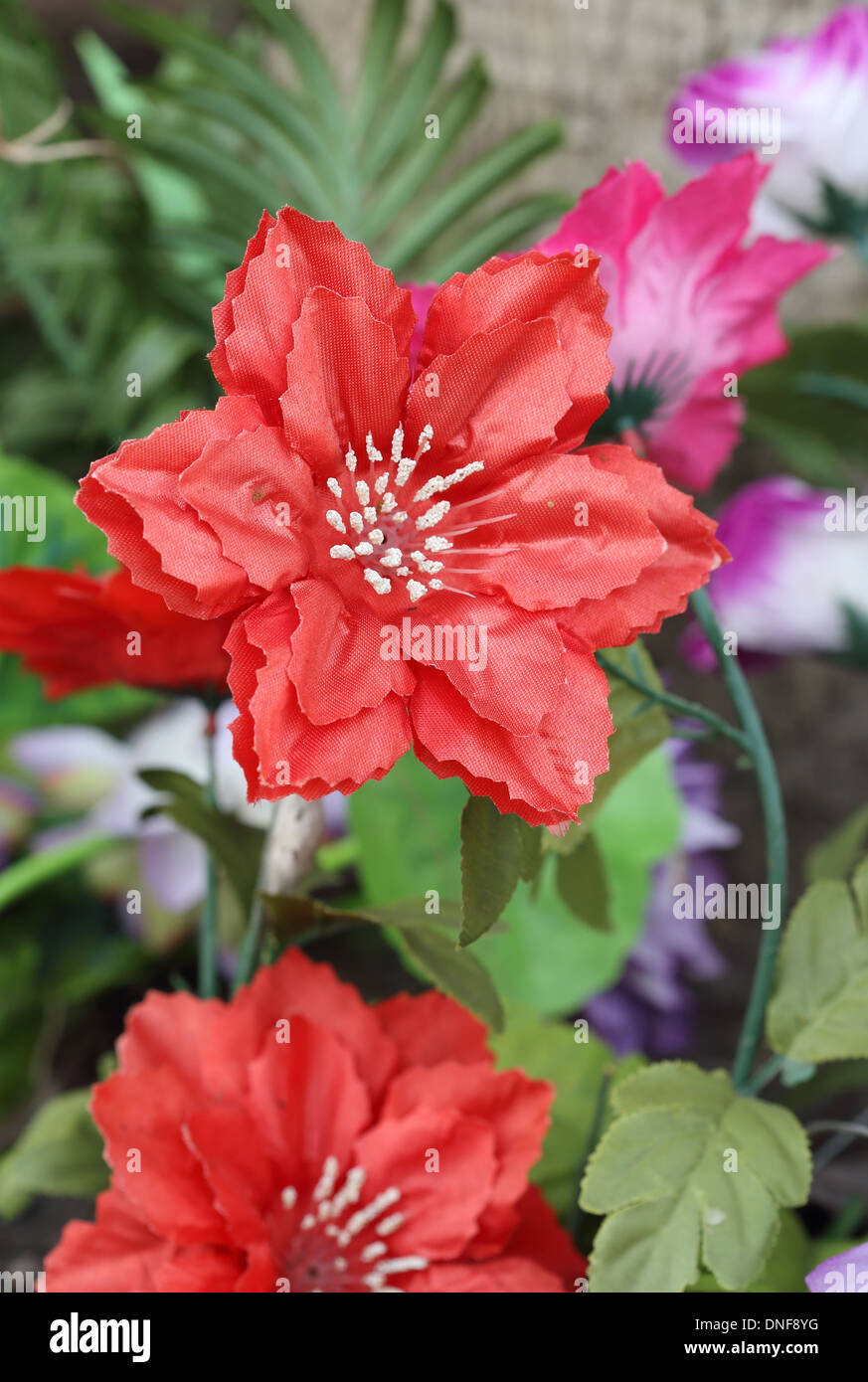 close-up of beautiful artificial decoration flowers Stock Photo
