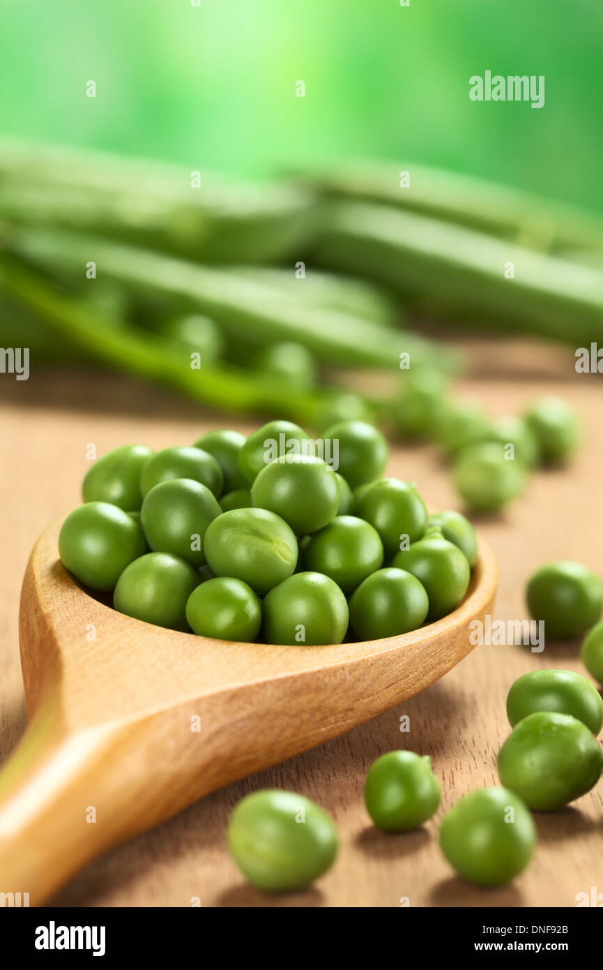 Fresh raw green pea (lat. Pisum Sativum) seeds on wooden spoon Stock Photo
