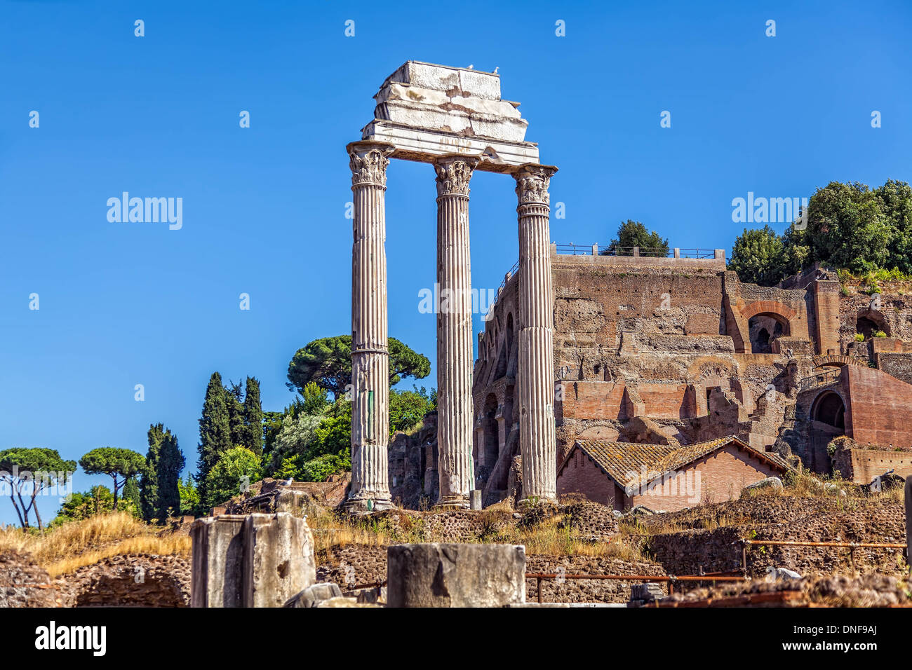 The ruins of the Temple of Castor and Pollux Stock Photo Alamy