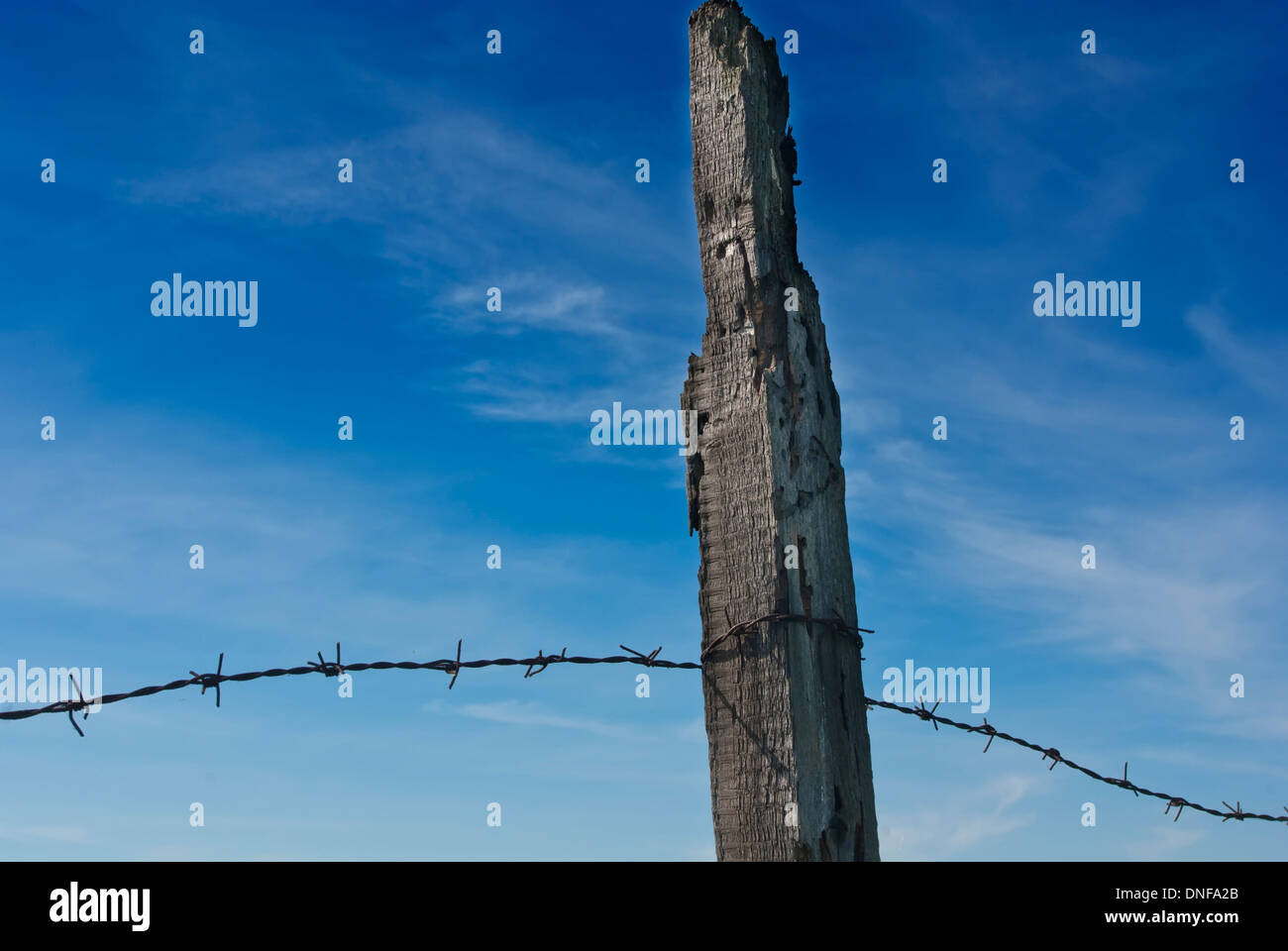 Barbed wire fence against a background of blue sky Stock Photo - Alamy