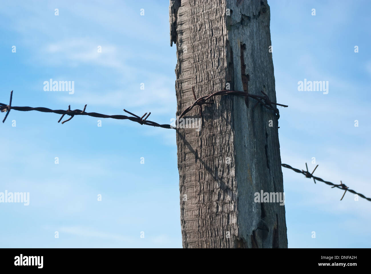 Barbed wire fence against a background of blue sky Stock Photo - Alamy