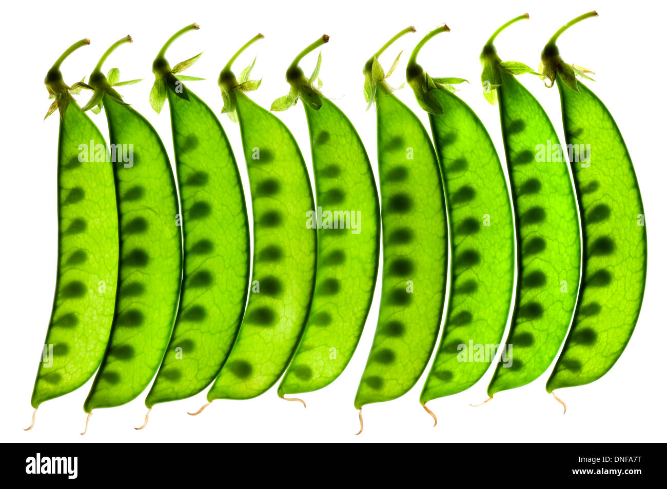 Green Pea, Legume, Vegetable Stock Photo Alamy