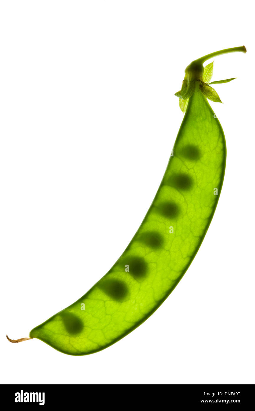 Green Pea, Legume, Vegetable Stock Photo Alamy