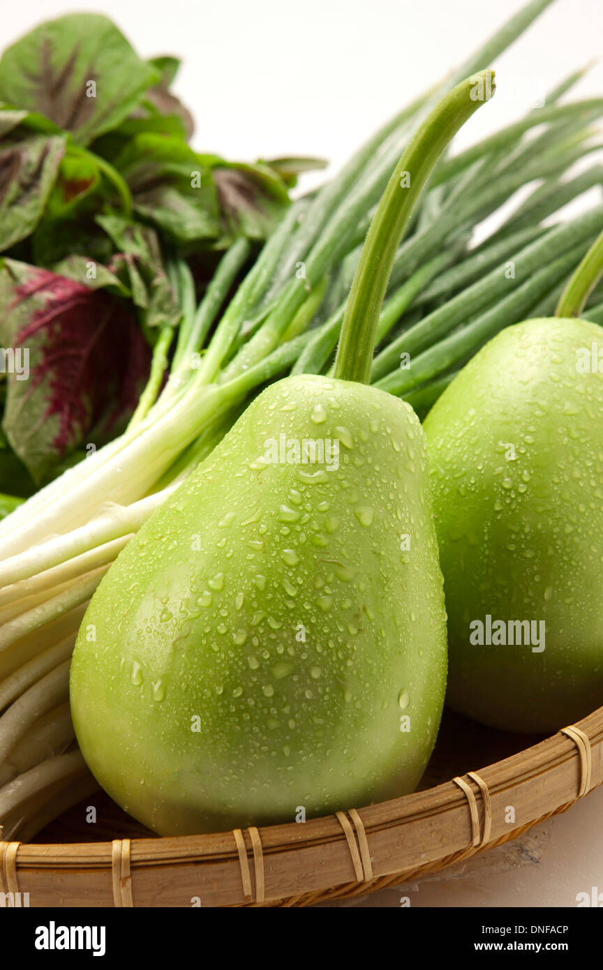 Large gourd root hires stock photography and images Alamy