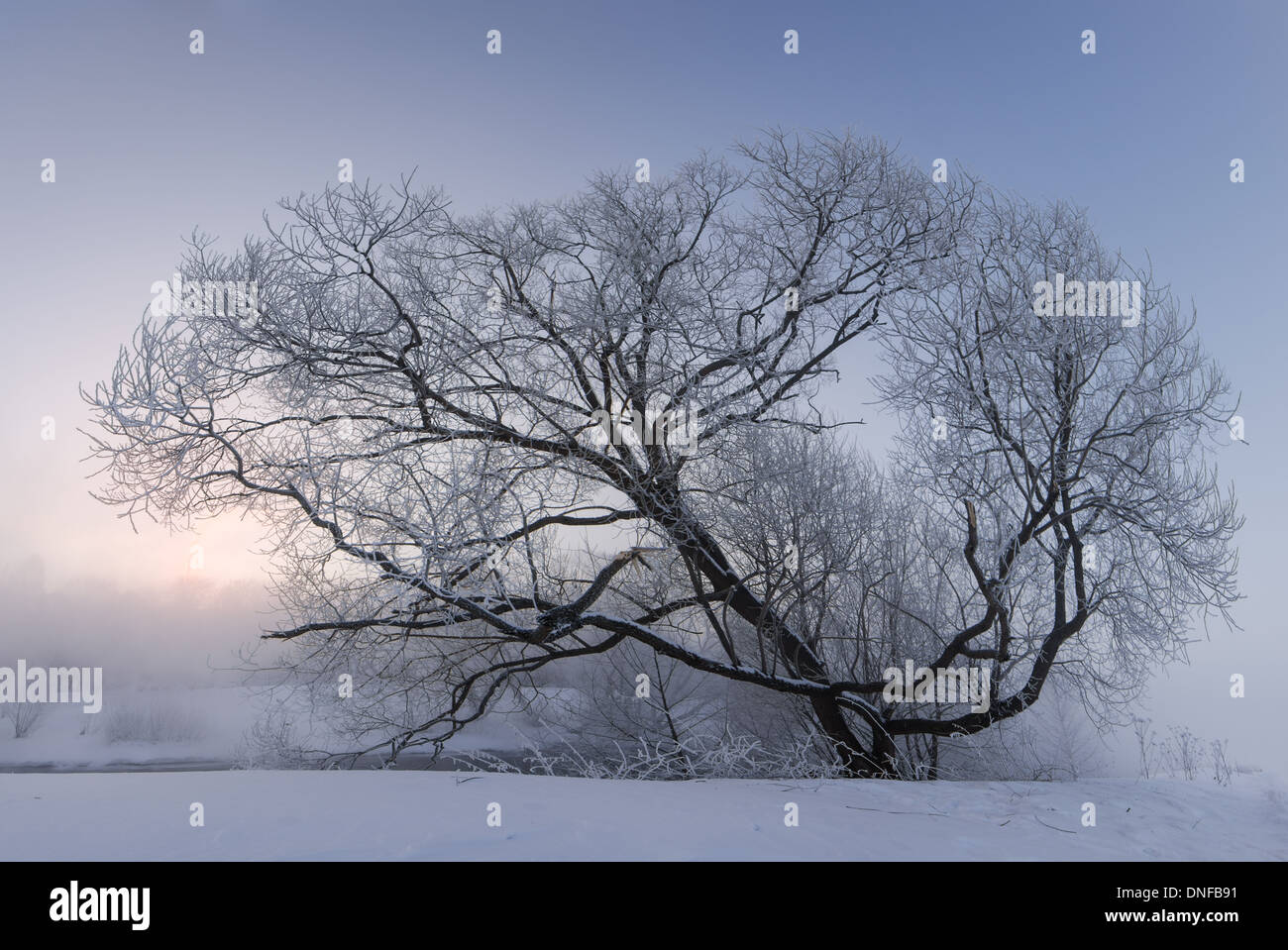 Sunrise over snow covered field hi-res stock photography and images - Alamy