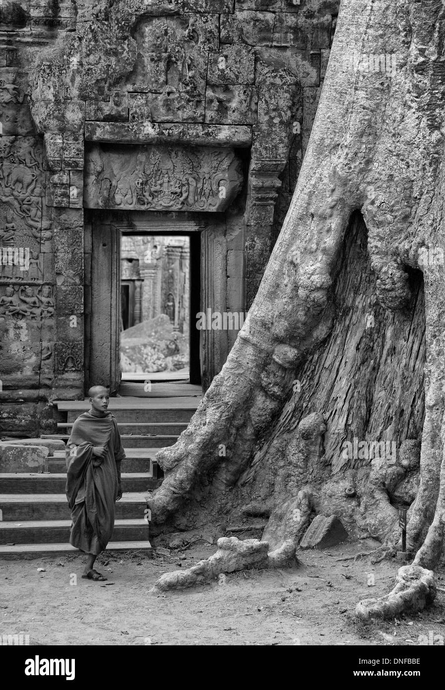 Novice monk walking along Ta Prohm Tempel, Angkor, Cambodia Stock Photo