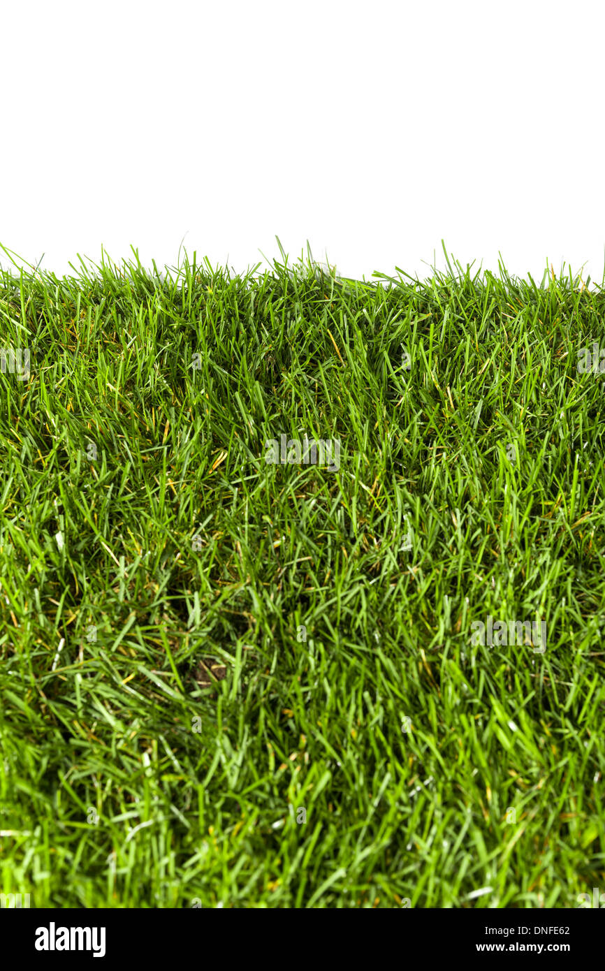 Green grass background hi-res stock photography and images - Alamy
