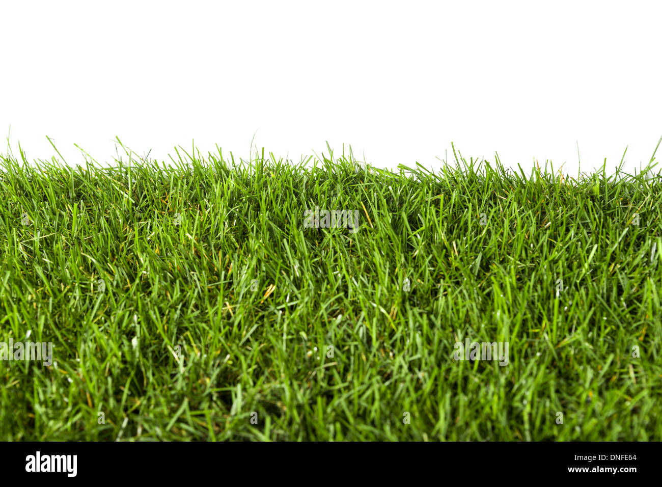 Green grass background hi-res stock photography and images - Alamy