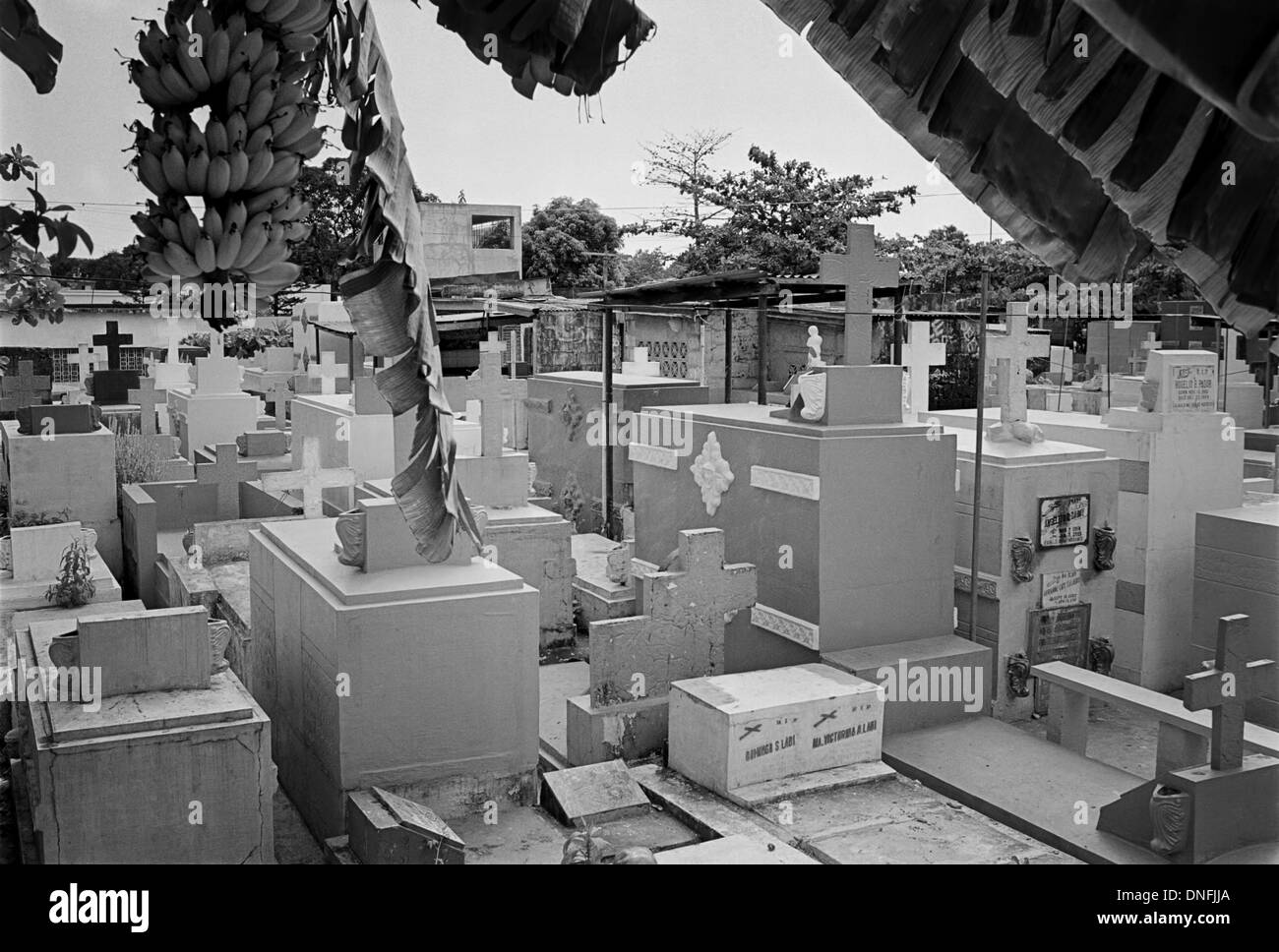Manila; Philippines Tombs in Manila North Cemetery Stock Photo 64882786 Alamy