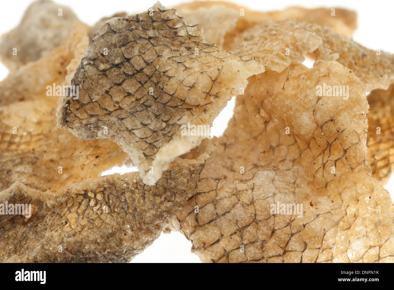 Crispy fried fish skin closeup on white background Stock Photo Alamy