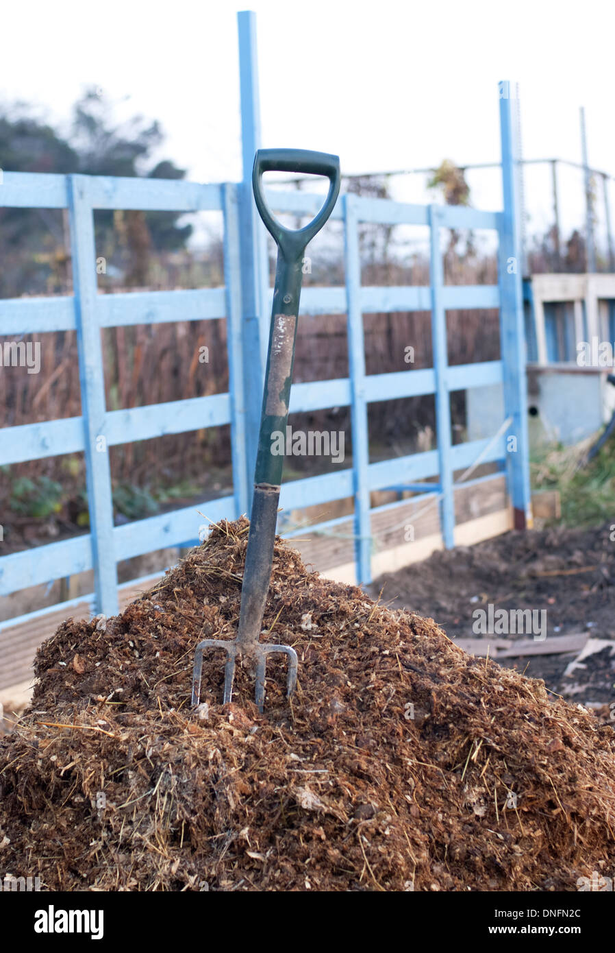 Preparing soil on a allotment during winter with manure organic matter Stock Photo