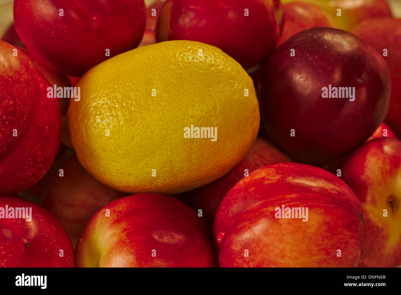 Lemon and Nectarines Stock Photo Alamy