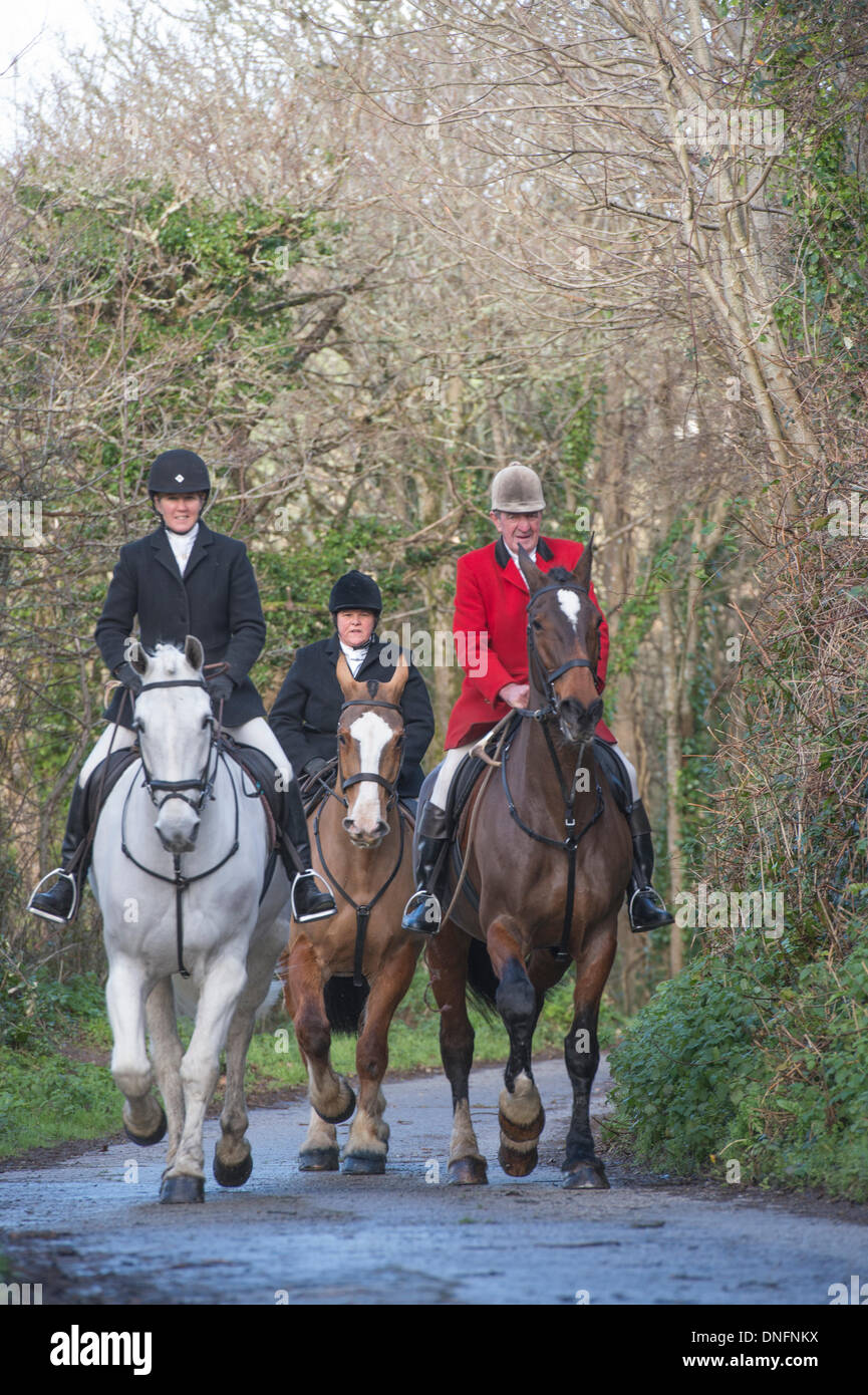 Cury Hunt gallop throughcountryside on Penrose estate after their Boxing Day meet in Helston, Cornwall   Alamy/Bob Sharples Stock Photo