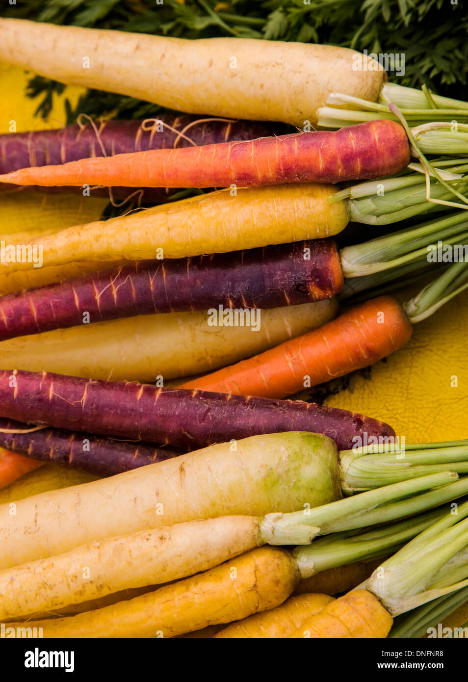 Root vegetables farm hires stock photography and images Alamy