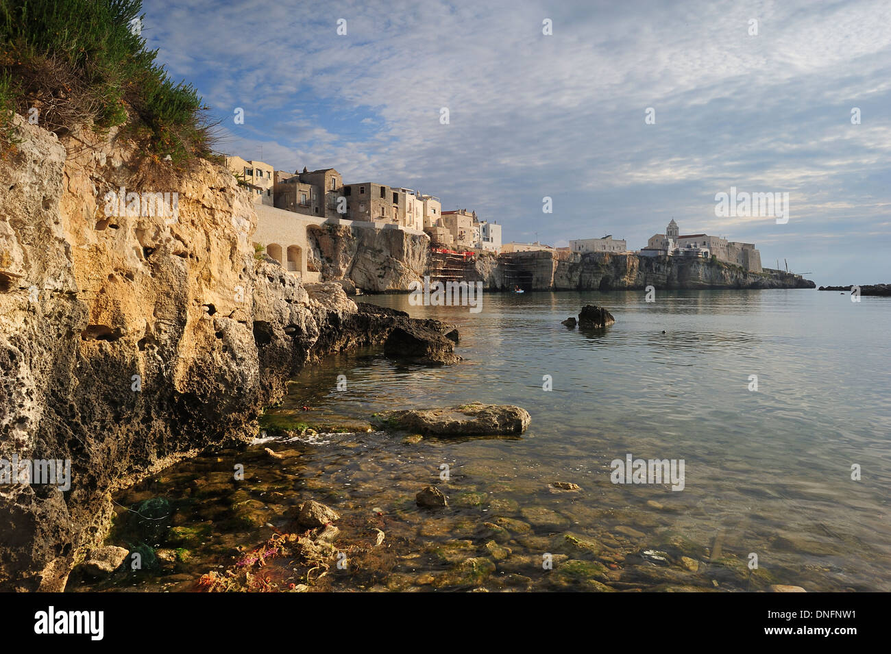 Vieste coast, Gargano National Park, Foggia, Puglia, Italy Stock Photo