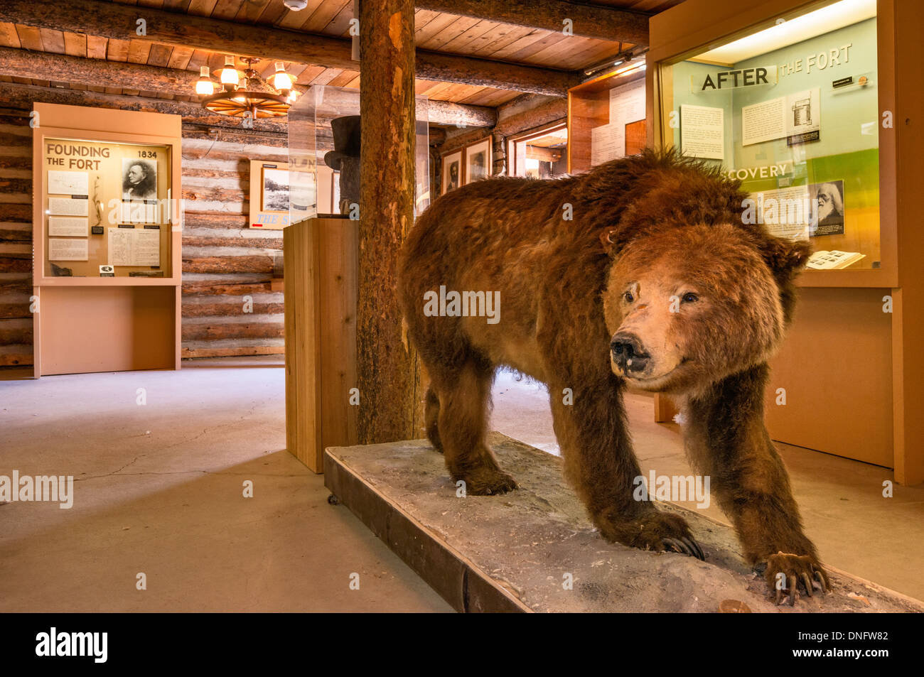Bear exhibit at Frontier Room Display at Fort Hall Replica, a